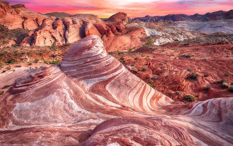 The State of Safety in Nevada 2020