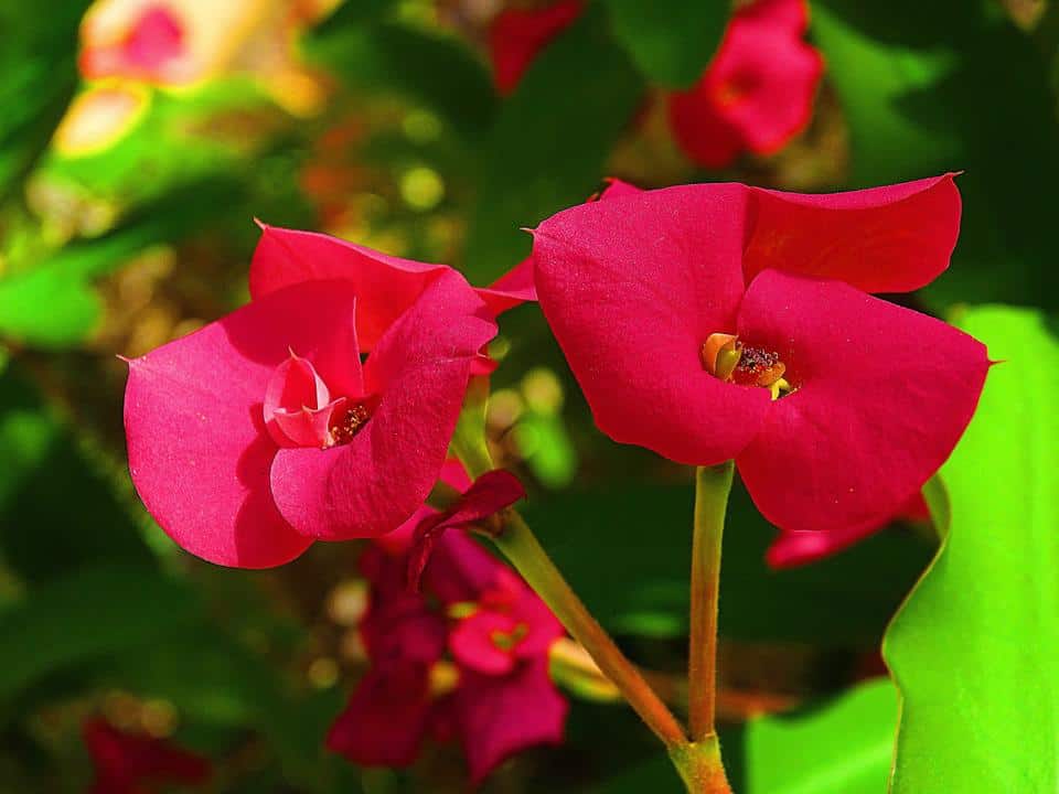 Spring Cleaning Your Garage