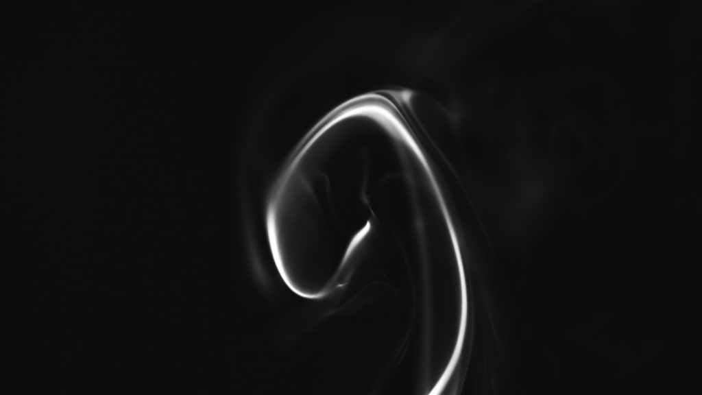 What’s your pooch up to while you’re at work?