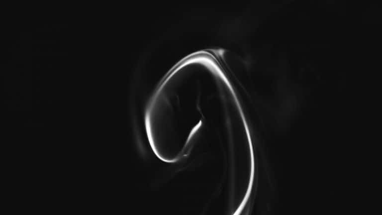 What’s your pooch up to while you’re at work?