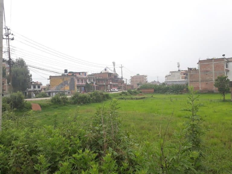 What’s That in Your Garage?  Carpenter Ant Frass vs. Termite Frass