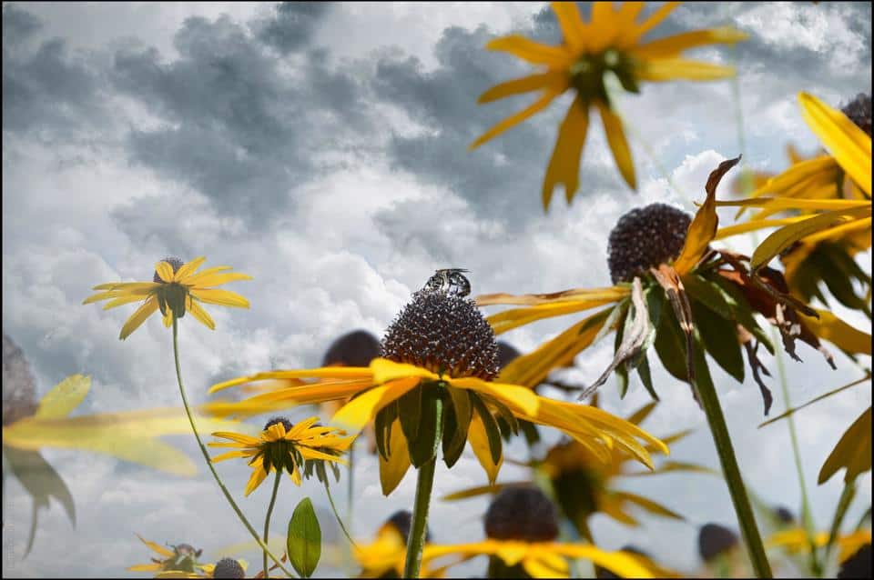Stopping Your Garage Door From Being Hacked