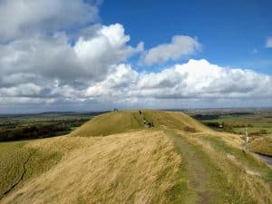Your Rolling Steel Service Door Options