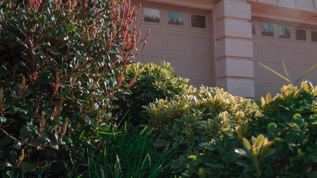 Garage | Summer’s perfect relaxation spot