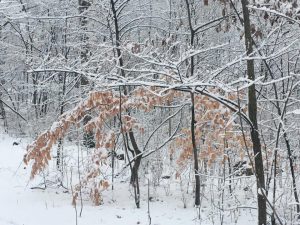 Fall and Winter Are Great for Garage Makeovers