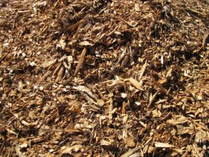 Why Insulate a Detached Garage?