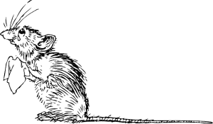 How To Keep Pests, Bugs, And Rodents Out Of Your Garage