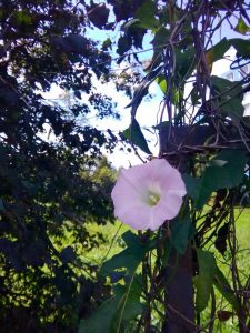 How to Fix a Slow-Opening Garage Door