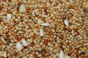 Everything You Can Do With Wi-Fi Connected Garage Door Openers