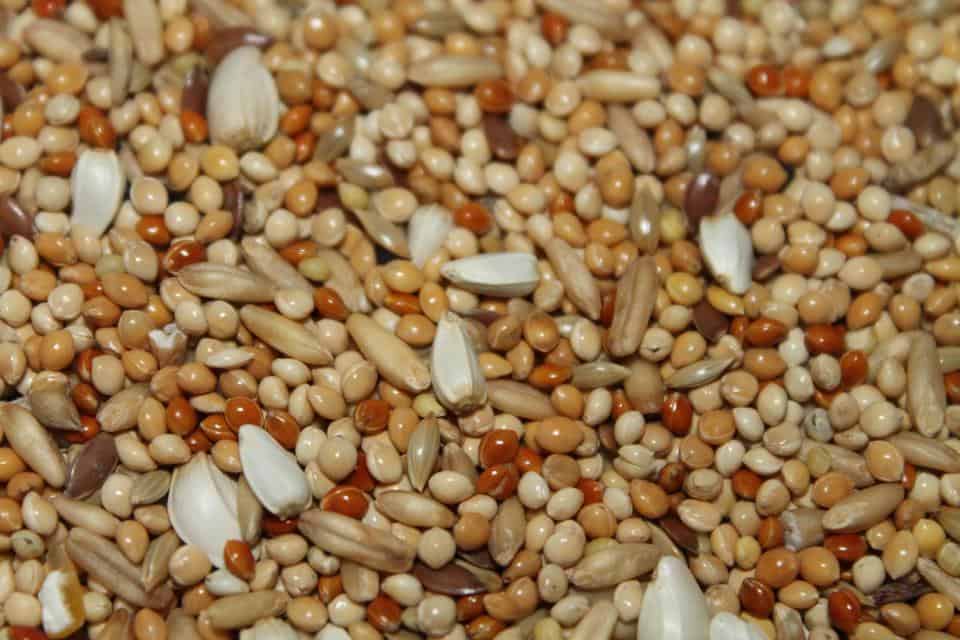 Everything You Can Do With Wi-Fi Connected Garage Door Openers