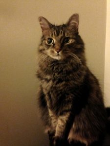 Correct Garage R-Value – Danley’s