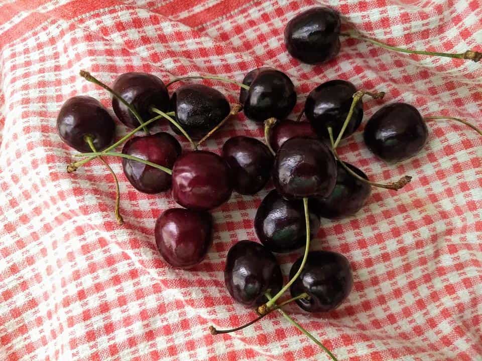 How to Match Your Entry Door and Garage Door