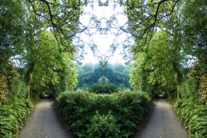 Choosing the Right Garage Door Color