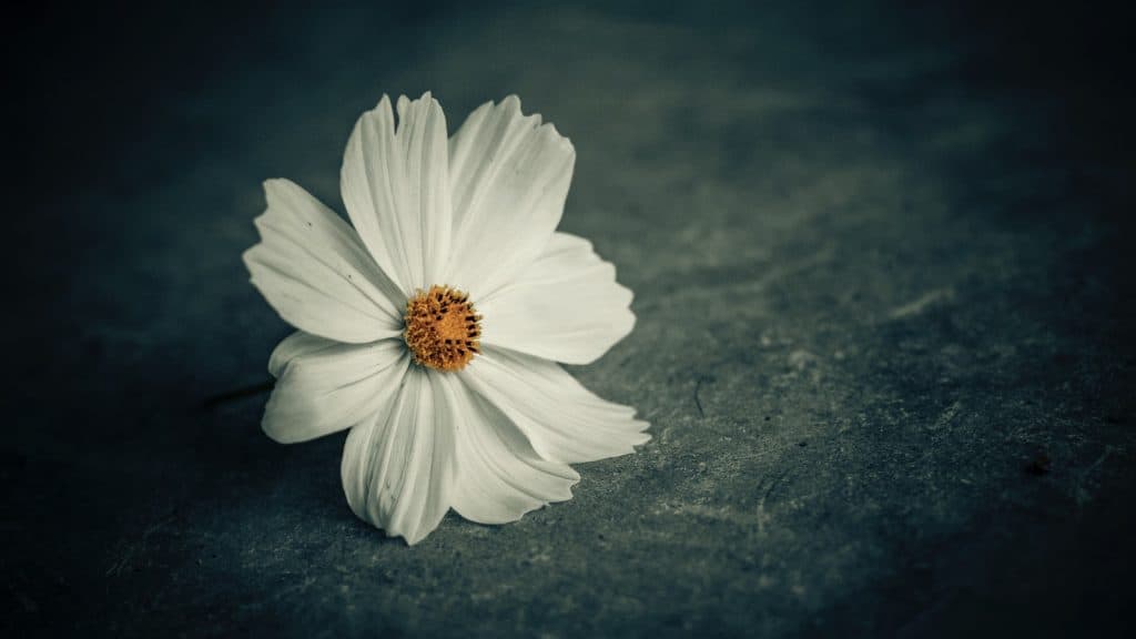 Essential Consider Picking a New Garage Door