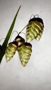 7 Common Mistakes People Make During Garage Remodels