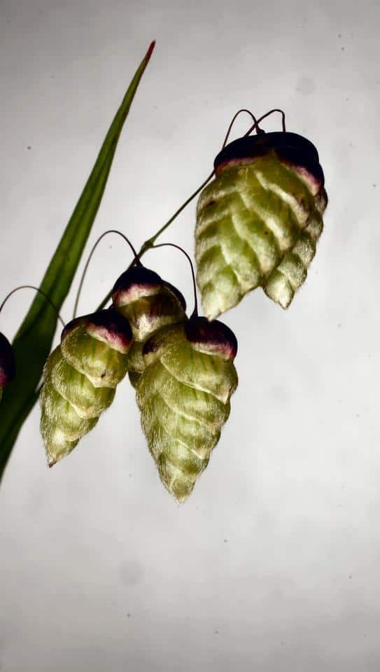 7 Common Mistakes People Make During Garage Remodels