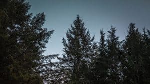 Keyless Entry For Garage Doors