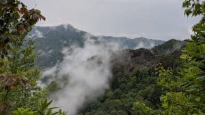 7 Great Benefits of a Garage Home Office