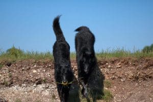 Tips & Tricks on How to Have a Successful Garage Sale