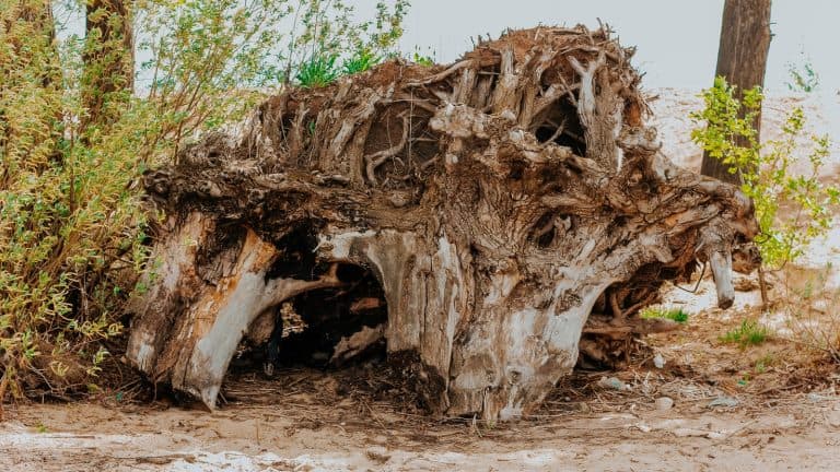 The Benefits of a Two Story Garage