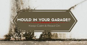 Dealing with Mould in Your Garage? Keep Calm and Read On