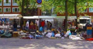 Tips to Keep Your Garage Pest-Free